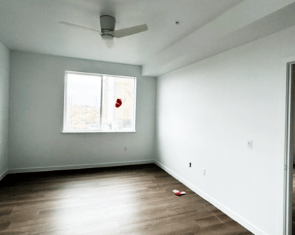 PAINTING SERVICES